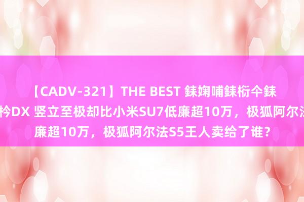 【CADV-321】THE BEST 銇婅哺銇椼仐銇俱仚銆?50浜?鏅傞枔DX 竖立至极却比小米SU7低廉超10万,极狐阿尔法S5王人卖给了谁?