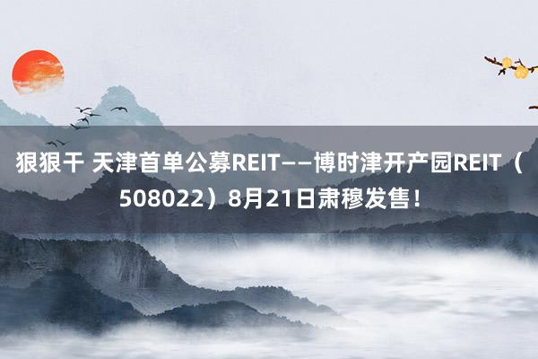 狠狠干 天津首单公募REIT——博时津开产园REIT（508022）8月21日肃穆发售！