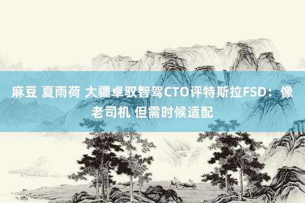 麻豆 夏雨荷 大疆卓驭智驾CTO评特斯拉FSD：像老司机 但需时候适配