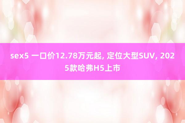 sex5 一口价12.78万元起， 定位大型SUV， 2025款哈弗H5上市