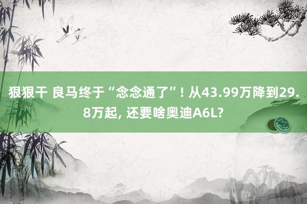 狠狠干 良马终于“念念通了”! 从43.99万降到29.8万起， 还要啥奥迪A6L?