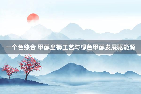 一个色综合 甲醇坐褥工艺与绿色甲醇发展驱能源