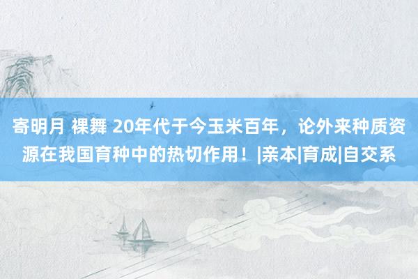 寄明月 裸舞 20年代于今玉米百年，论外来种质资源在我国育种中的热切作用！|亲本|育成|自交系